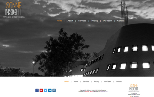 Screenshot of Sonne Insight's website homepage